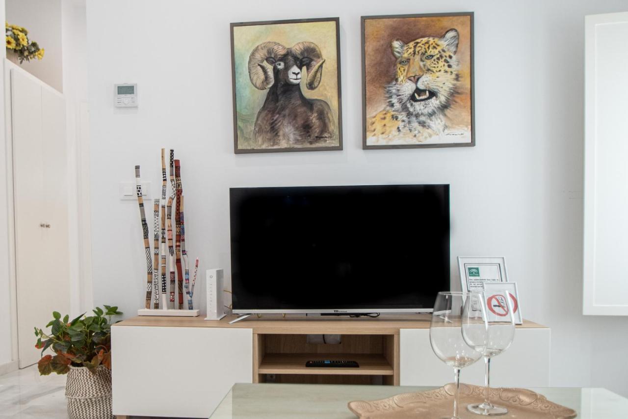 Apartamento Animalia Кадіс Екстер'єр фото