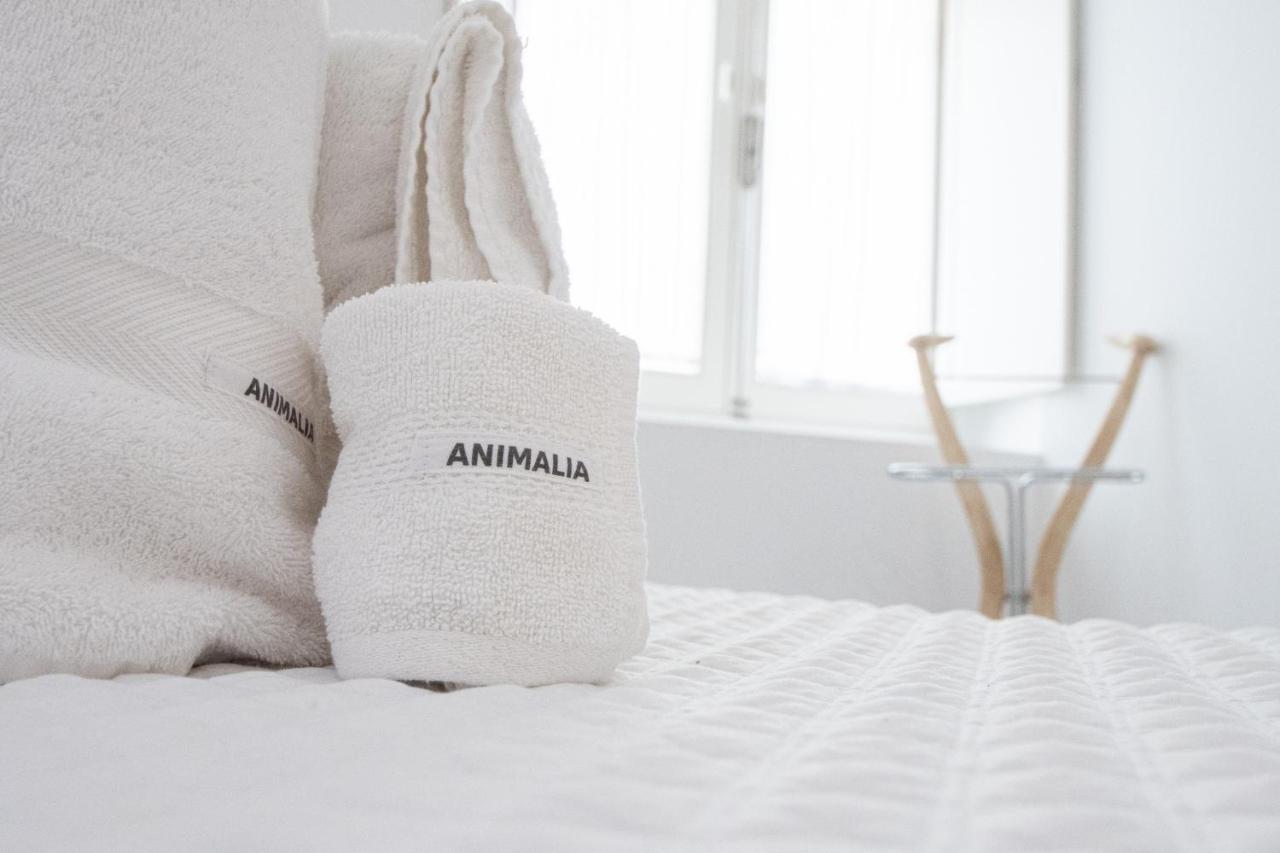 Apartamento Animalia Кадіс Екстер'єр фото