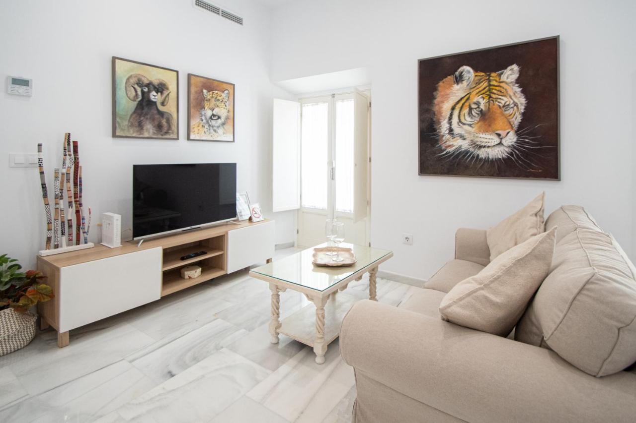 Apartamento Animalia Кадіс Екстер'єр фото